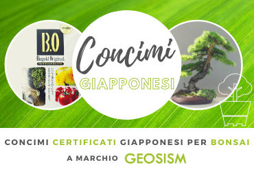 Concimi giapponesi