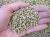 Kiryuzuna hard quality 2/5 mm (c.ca 11 kg - 14 lt), per bonsai di conifere
