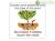 Biogold classic giapponese, NPK 2,8-4,0-3,6 (1,3 kg), concime granulare primaverile e autunnale per bonsai