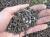 Stallatico in pellet (Agristallatico) (8 kg), concime per piante e fiori
