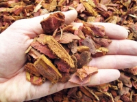 Portuguese red pine bark 15/30 mm (5 kg - approx. 25 lt) Portuguese red pine bark 15/30 mm (5 kg - approx. 25 lt)